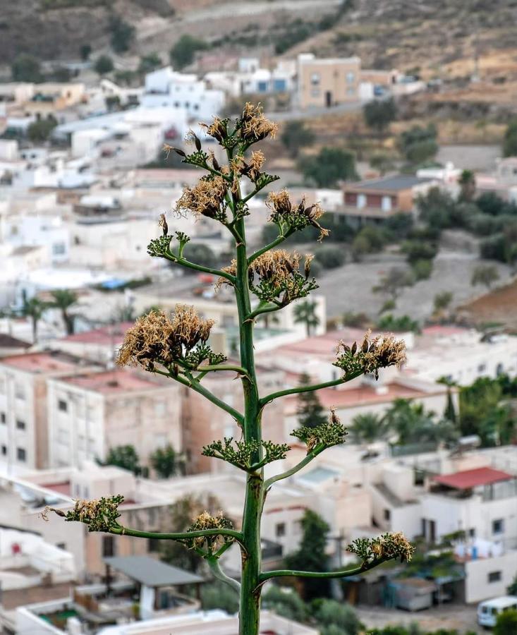 Apartamento Bella Y Su Parque Natural Cabo De Gata